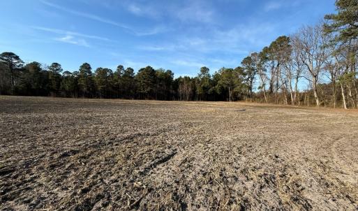 Photo #8 of Off NC 131 Hwy, Bladenboro, NC 20.2 acres