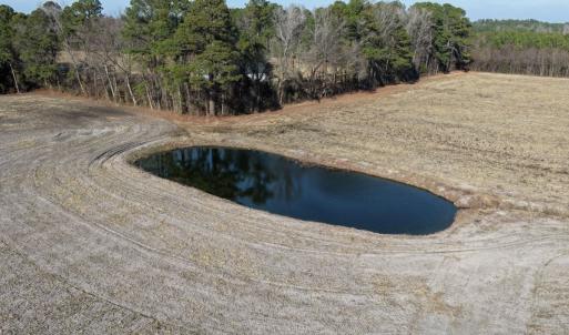 Photo #9 of Off NC 131 Hwy, Bladenboro, NC 20.2 acres