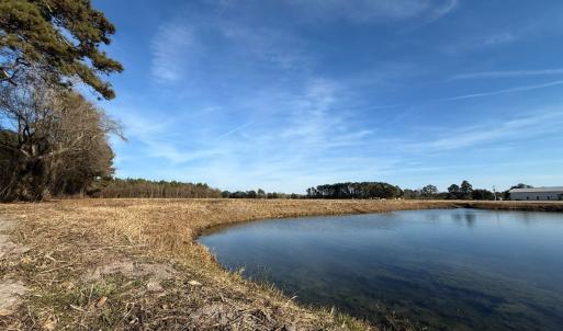 Photo #23 of Off NC 131 Hwy, Bladenboro, NC 20.2 acres