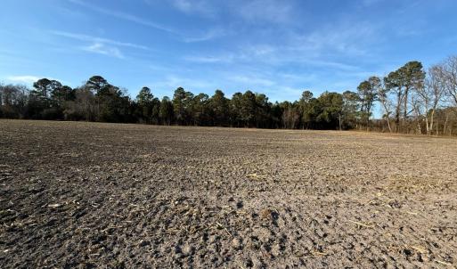 Photo #25 of Off NC 131 Hwy, Bladenboro, NC 20.2 acres