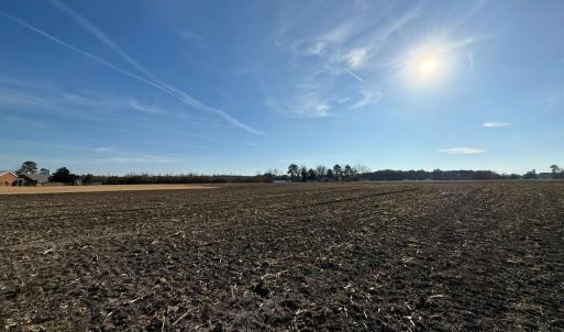 Photo #41 of Off NC 131 Hwy, Bladenboro, NC 20.2 acres