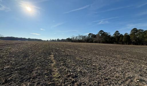 Photo #42 of Off NC 131 Hwy, Bladenboro, NC 20.2 acres