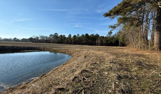 Photo #43 of Off NC 131 Hwy, Bladenboro, NC 20.2 acres