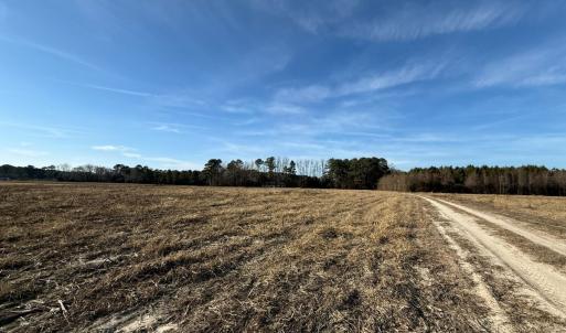 Photo #10 of Off Center Road, Bladenboro, NC 30.8 acres