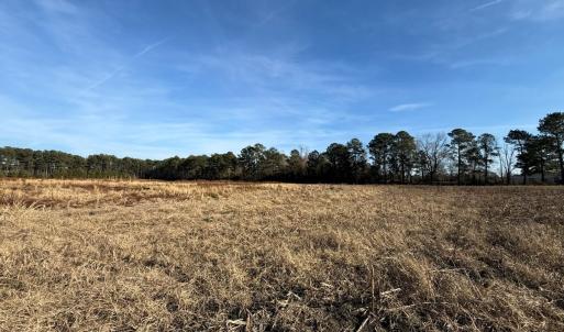 Photo #16 of Off Center Road, Bladenboro, NC 30.8 acres