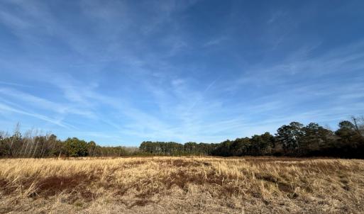 Photo #17 of Off Center Road, Bladenboro, NC 30.8 acres