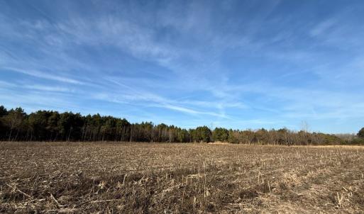 Photo #18 of Off Center Road, Bladenboro, NC 30.8 acres