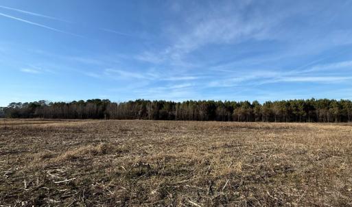 Photo #20 of Off Center Road, Bladenboro, NC 30.8 acres