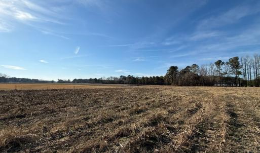 Photo #6 of Off Center Road, Bladenboro, NC 30.8 acres
