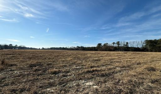 Photo #7 of Off Center Road, Bladenboro, NC 30.8 acres