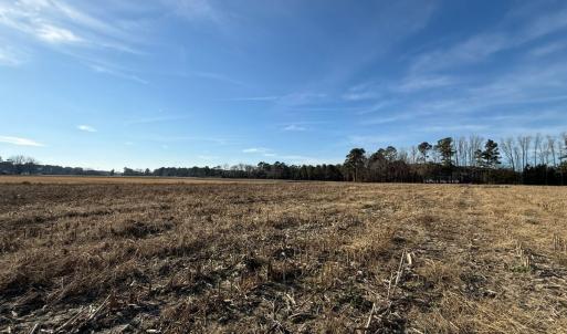 Photo #8 of Off Center Road, Bladenboro, NC 30.8 acres