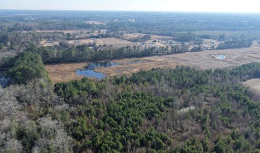 Photo #21 of Off Center Road, Bladenboro, NC 30.8 acres
