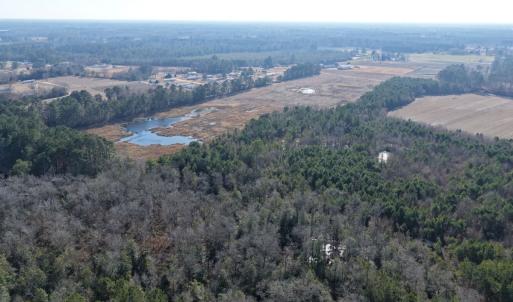 Photo #23 of Off Center Road, Bladenboro, NC 30.8 acres