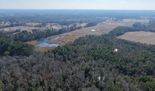 Photo #24 of Off Center Road, Bladenboro, NC 30.8 acres