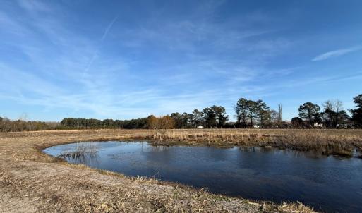 Photo #26 of Off Center Road, Bladenboro, NC 30.8 acres
