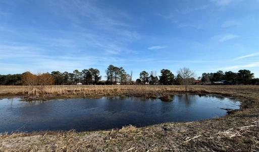 Photo #27 of Off Center Road, Bladenboro, NC 30.8 acres