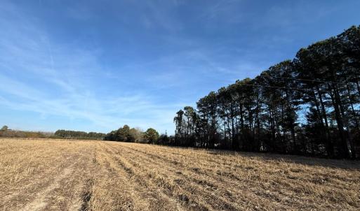 Photo #28 of Off Center Road, Bladenboro, NC 30.8 acres