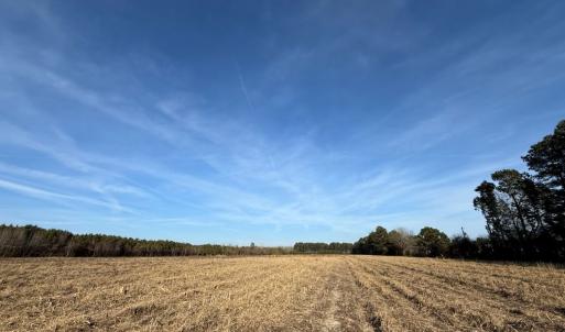 Photo #29 of Off Center Road, Bladenboro, NC 30.8 acres