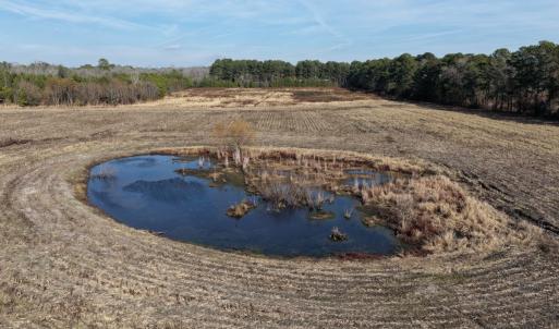 Photo #46 of Off Center Road, Bladenboro, NC 30.8 acres