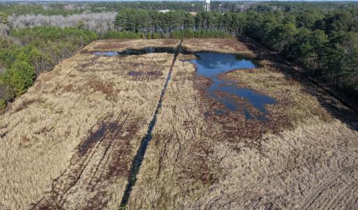 Photo #47 of Off Center Road, Bladenboro, NC 30.8 acres