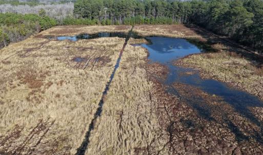 Photo #48 of Off Center Road, Bladenboro, NC 30.8 acres