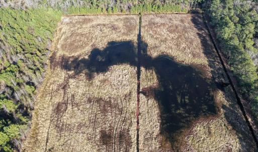 Photo #50 of Off Center Road, Bladenboro, NC 30.8 acres