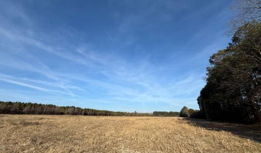 Photo #51 of Off Center Road, Bladenboro, NC 30.8 acres