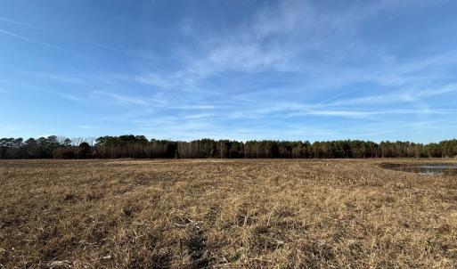 Photo #52 of Off Center Road, Bladenboro, NC 30.8 acres