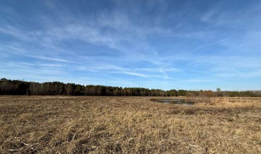 Photo #53 of Off Center Road, Bladenboro, NC 30.8 acres