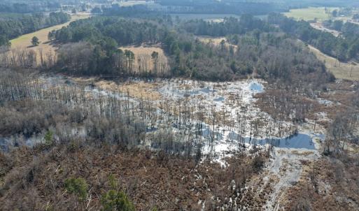 Photo #11 of Off JA Carroll Road, Bladenboro, NC 44.4 acres