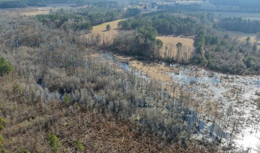 Photo #12 of Off JA Carroll Road, Bladenboro, NC 44.4 acres