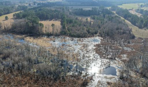 Photo #13 of Off JA Carroll Road, Bladenboro, NC 44.4 acres