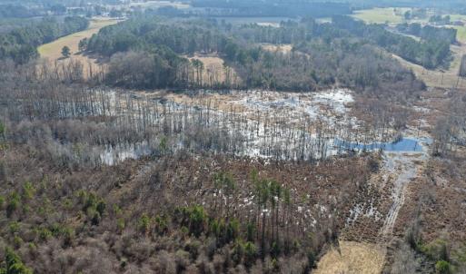 Photo #14 of Off JA Carroll Road, Bladenboro, NC 44.4 acres