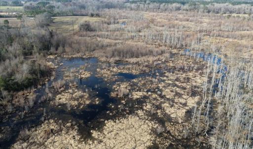 Photo #15 of Off JA Carroll Road, Bladenboro, NC 44.4 acres