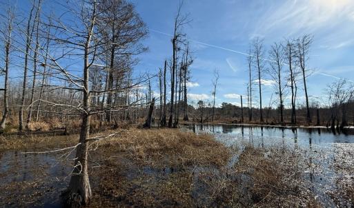 Photo #16 of Off JA Carroll Road, Bladenboro, NC 44.4 acres