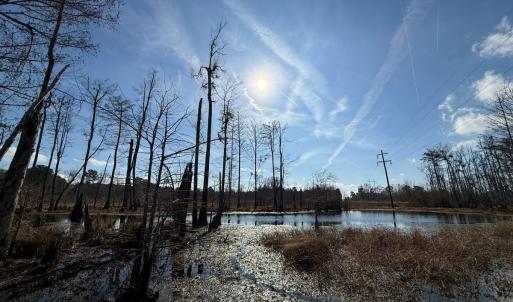Photo #17 of Off JA Carroll Road, Bladenboro, NC 44.4 acres