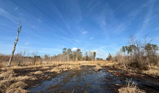 Photo #19 of Off JA Carroll Road, Bladenboro, NC 44.4 acres