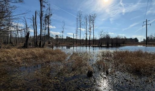 Photo #20 of Off JA Carroll Road, Bladenboro, NC 44.4 acres