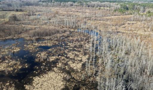 Photo #21 of Off JA Carroll Road, Bladenboro, NC 44.4 acres