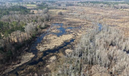 Photo #22 of Off JA Carroll Road, Bladenboro, NC 44.4 acres