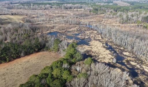 Photo #24 of Off JA Carroll Road, Bladenboro, NC 44.4 acres