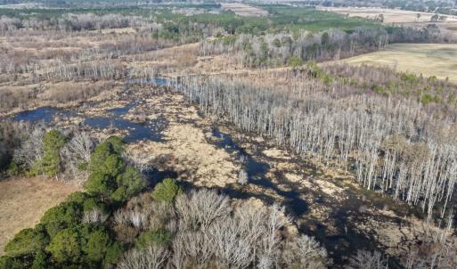Photo #25 of Off JA Carroll Road, Bladenboro, NC 44.4 acres