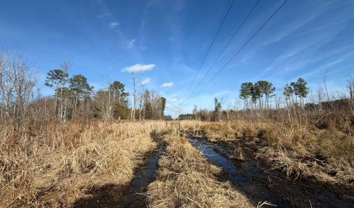 Photo #26 of Off JA Carroll Road, Bladenboro, NC 44.4 acres