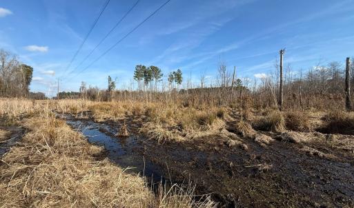 Photo #27 of Off JA Carroll Road, Bladenboro, NC 44.4 acres