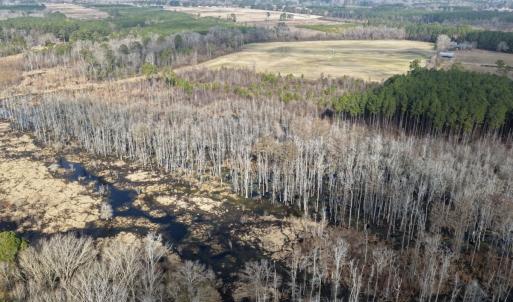Photo #31 of Off JA Carroll Road, Bladenboro, NC 44.4 acres