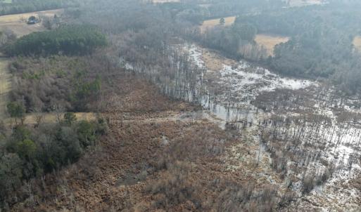 Photo #34 of Off JA Carroll Road, Bladenboro, NC 44.4 acres