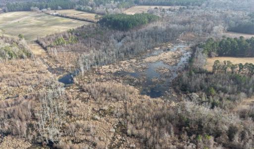 Photo #35 of Off JA Carroll Road, Bladenboro, NC 44.4 acres