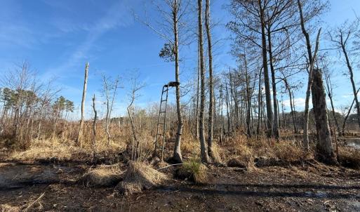 Photo #37 of Off JA Carroll Road, Bladenboro, NC 44.4 acres