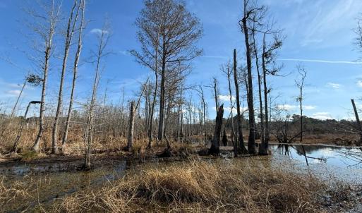 Photo #38 of Off JA Carroll Road, Bladenboro, NC 44.4 acres