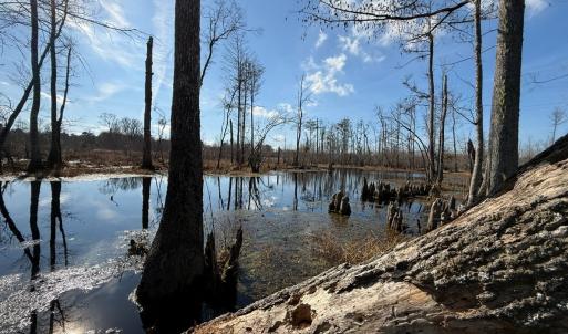 Photo #6 of Off JA Carroll Road, Bladenboro, NC 44.4 acres